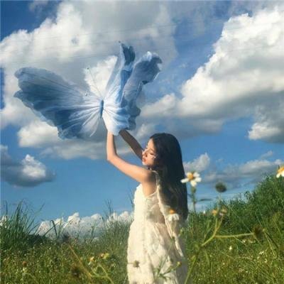 四海鲸骑第二季